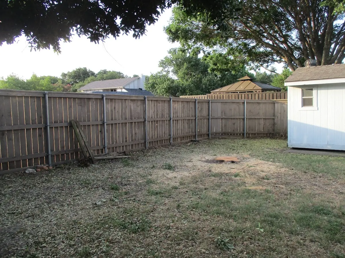 Cleared yard after professional tree removal in Empire